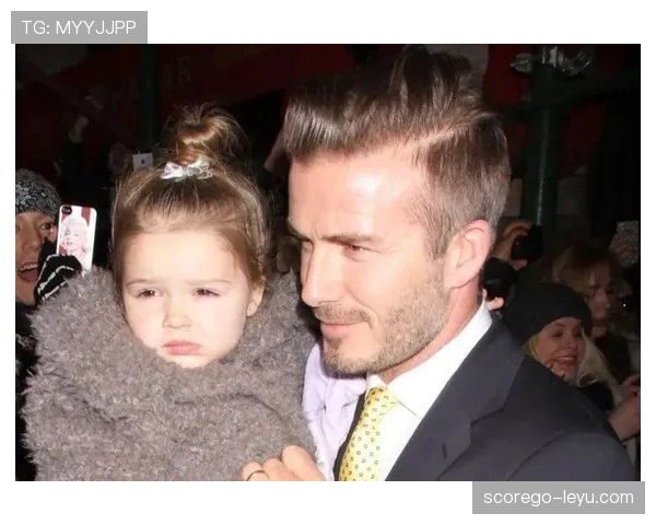 贝克汉姆家的狗都比你我活得精致